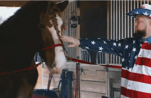 a man petting a horse while wearing an american flag