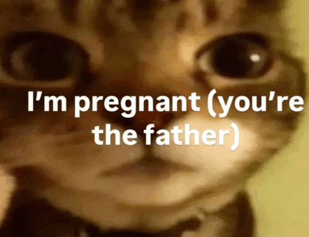 a close up of a cat with the words i 'm pregnant ( you 're the father )