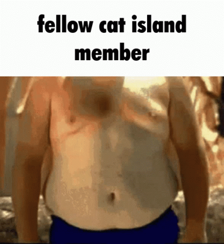 Fat Fit GIF - Fat Fit Catisland GIFs