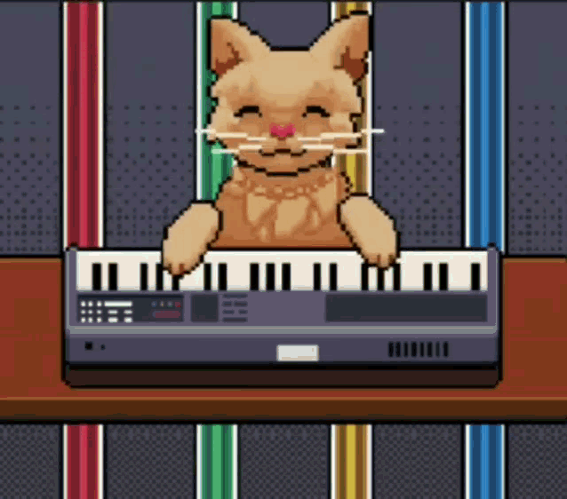 Kpn Piano Cat GIF - Kpn Piano Cat Wifi Kat GIFs