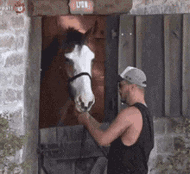 a man is petting a horse in a stable with a sign that says u.s.a.