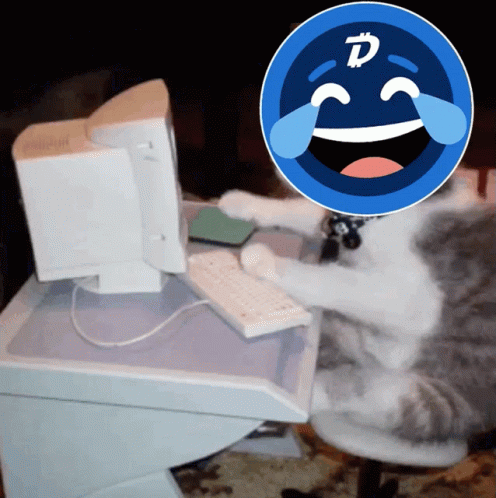 Digibyte Cat GIF - Digibyte Cat Lolol GIFs