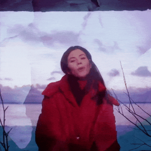 a woman in a red coat is standing in front of a blue sky