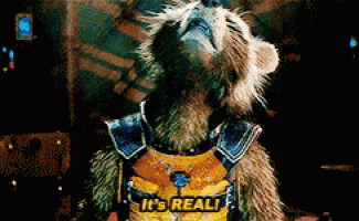 a raccoon is wearing a vest that says it 's real !