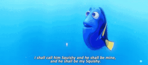 Dory Squishy GIF