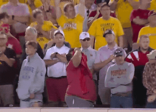 a group of people in a stadium with one wearing a shirt that says missippi football