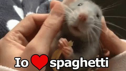 Spaghetti Amo Gli Spaghetti Criceto Pasta GIF - Spaghetti I Love Spaghetti Hamster GIFs