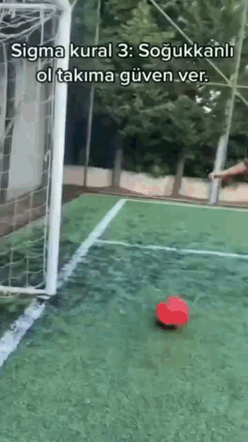 a soccer field with a goal and a red ball on it