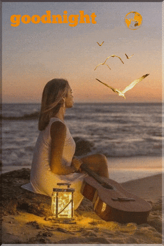 a woman sits on a rock on the beach with a guitar and a lantern and the words goodnight above her