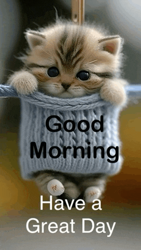 a kitten is hanging from a rope with the words good morning have a great day below it