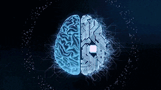a computer generated image of a brain divided in half