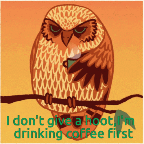 Coffee Owl GIF - Coffee Owl Coffee Owl GIFs