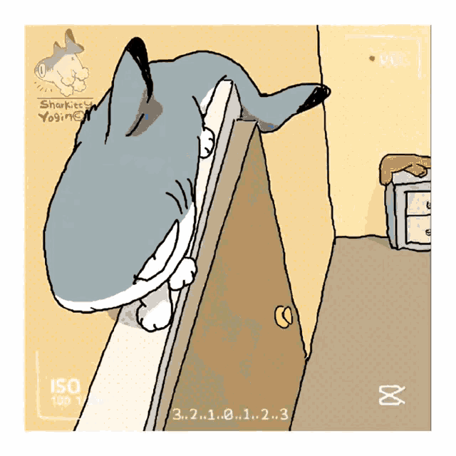 Sharkcat GIF - Sharkcat GIFs