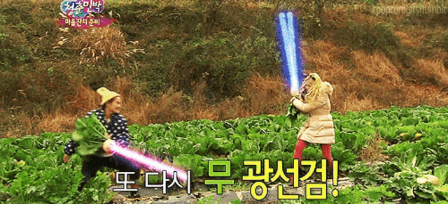 two women are fighting with lightsabers in a field with korean writing