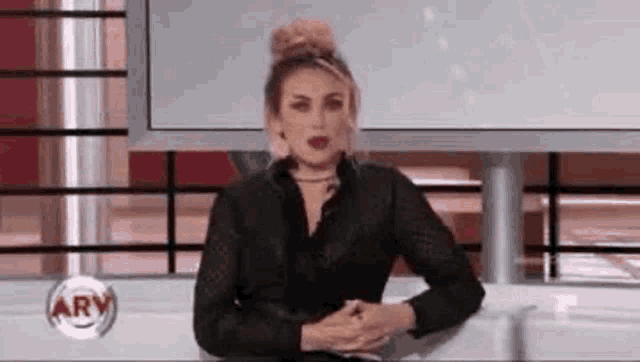 a woman is sitting in front of a television talking on a news show .