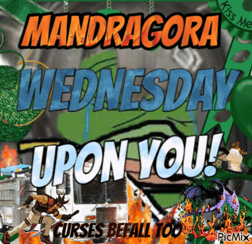 a poster for mandragora wednesday upon you