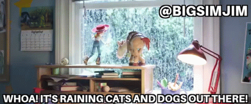 Toy Story Toy Story4 GIF - Toy Story Toy Story4 Raining Cats And Dogs GIFs