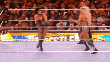 a group of women are wrestling in a wrestling ring .