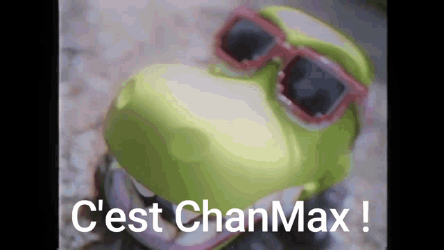 a close up of a toy with the words c'est chanmax