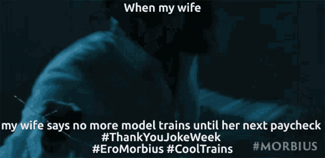 a poster that says when my wife my wife says no more model trains until her next paycheck #thankyoujokeweek