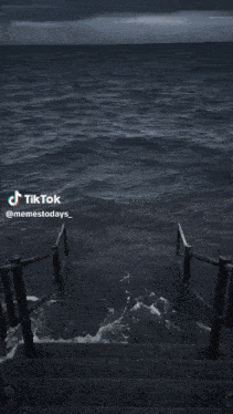 a tiktok video of a group of people sitting in front of a large body of water
