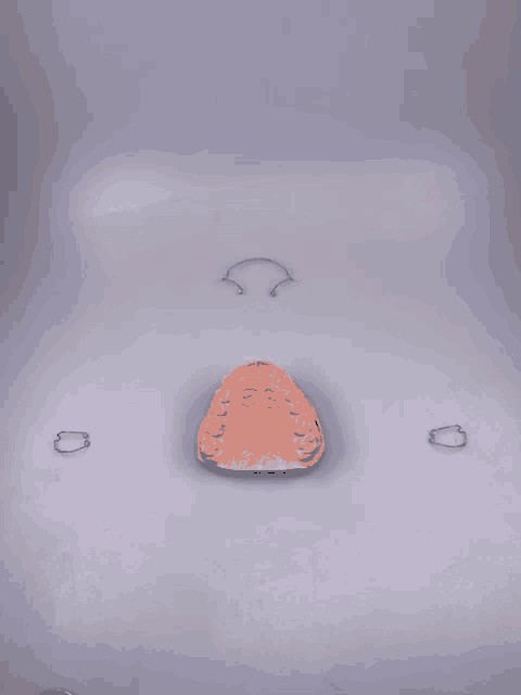 a model of a person 's teeth sits on a table