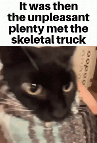 It Was Then The Unpleasent Plenty Met The Skeletal Truck Cat GIF - It Was Then The Unpleasent Plenty Met The Skeletal Truck Cat Cat Pat GIFs