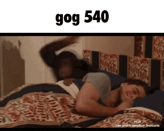 Gog GIF - Gog GIFs