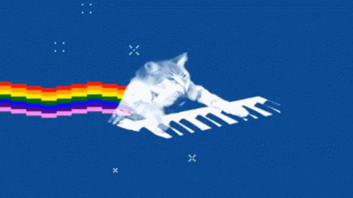 Cat Funny Cat GIF - Cat Funny Cat Keyboard GIFs