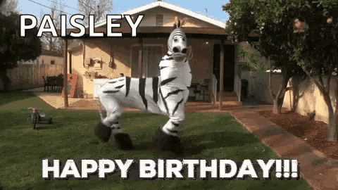 a zebra is standing in front of a house with the words paisley happy birthday written on it