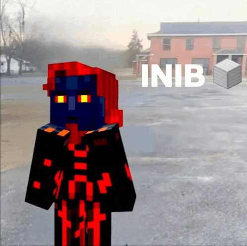 a minecraft character stands in front of a building with the word inib written on it