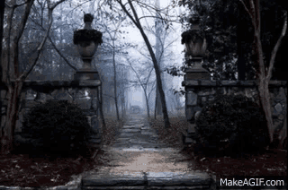 a stone walkway leading into a foggy forest with trees and a stone wall .