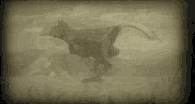 a silhouette of a bird running on a hill in a field .