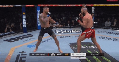 two fighters are fighting in a ring with a bud light banner on the corner