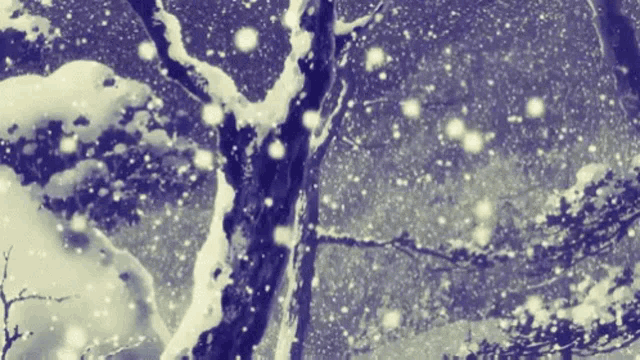 snow is falling on trees in a forest