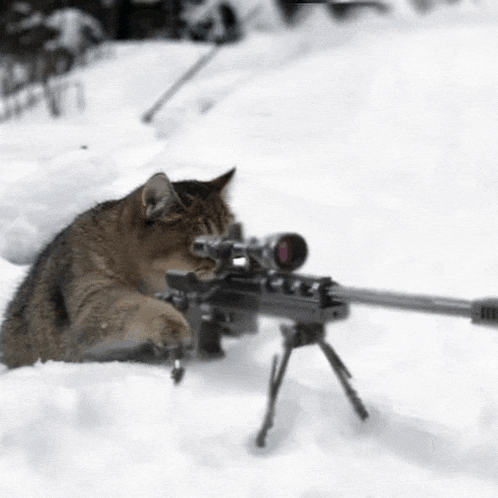 a cat is laying in the snow with a rifle .