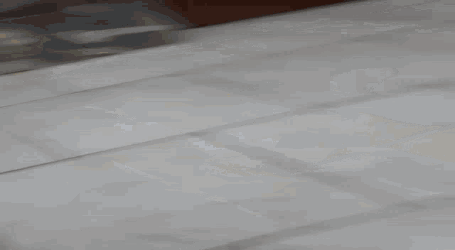 a cat is walking on a tiled floor with a yellow leaf on it .