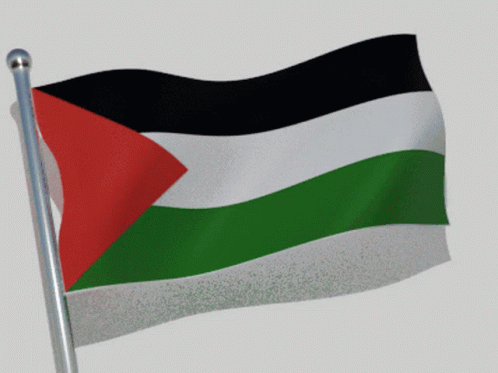 Palestine Palestine Flag GIF - Palestine Palestine Flag GIFs