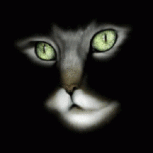 Cat Glowing Eyes GIF