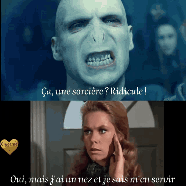 Harry Potter Voldemort GIF - Harry Potter Voldemort Sorcière GIFs