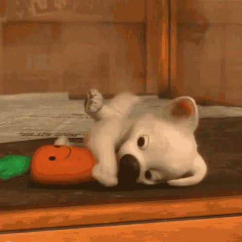 a stuffed animal is laying on its back with a carrot toy