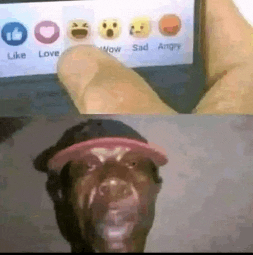 Eli53489345 Meme