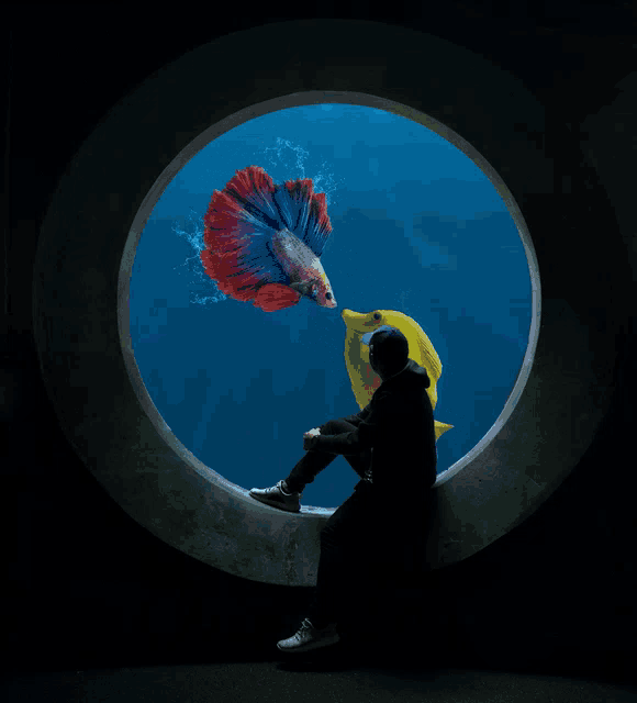 a man sits on a pipe looking out a window at fish