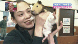 Kiko Kiko Mizuhara GIF - Kiko Kiko Mizuhara Guinea Pig GIFs