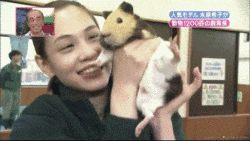 a woman is holding a stuffed animal with chinese writing on the bottom