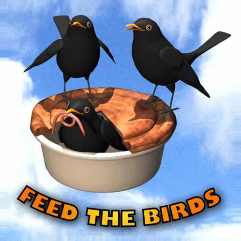 Feed The Birds Feed Wild Birds GIF - Feed The Birds Feed Wild Birds Hungry Birds GIFs