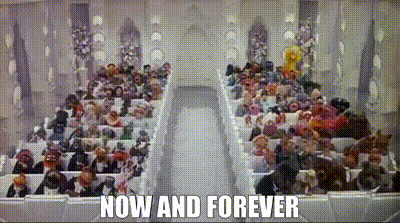 Now And Forever Wedding GIF - Now And Forever Wedding Muppets GIFs
