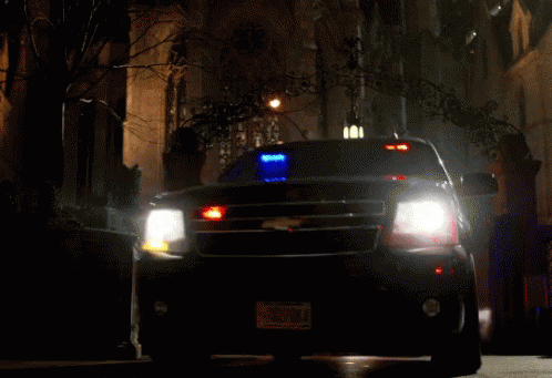 The Feds GIF - The Feds Police GIFs