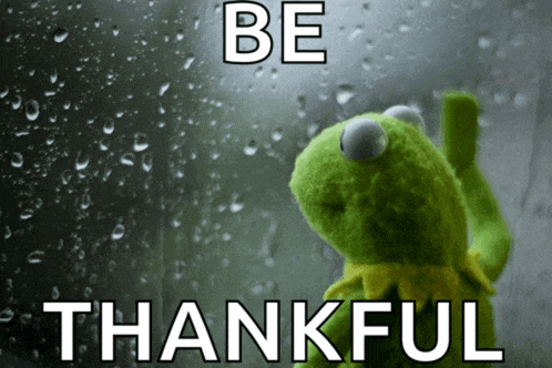 kermit the frog is looking out a window with the words be thankful