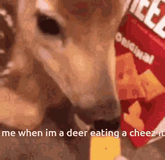Deer Eating Cheez It Me GIF - Deer Eating Cheez It Me Me When Im A Deer Eating A Cheez It GIFs